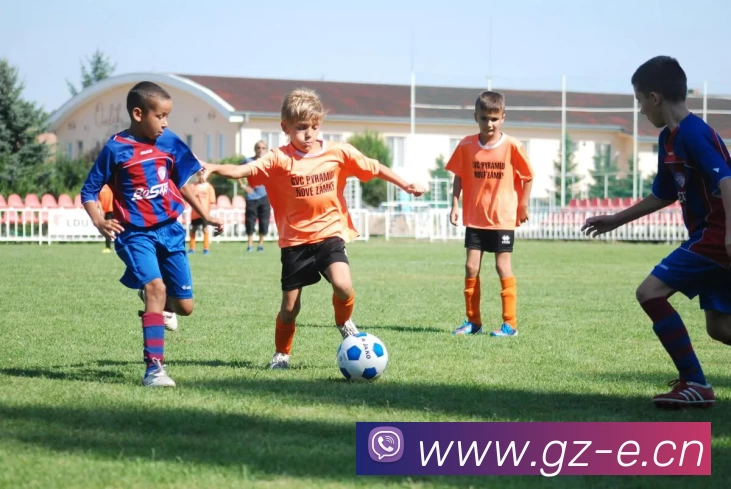 kaiyun「中国大陆」云开·门户网站 - 官方网站|登录入口发展历程